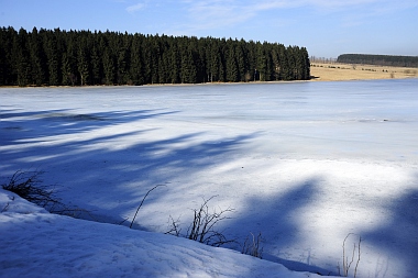 Pixhaier Teich (2) Buntenbock Oberharzer Wasserwirtschaft Bilder